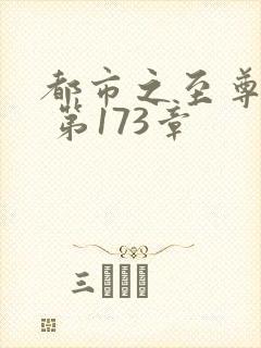 都市之至尊战神 第173章