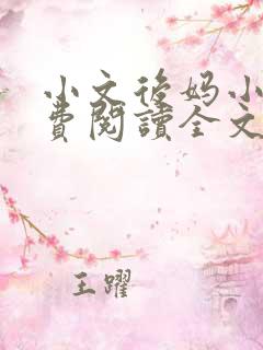 小文后妈小说免费阅读全文最新章节