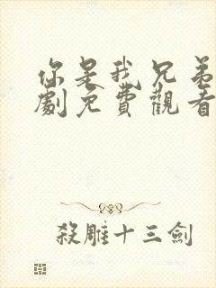 你是我兄弟电视剧免费观看完整版