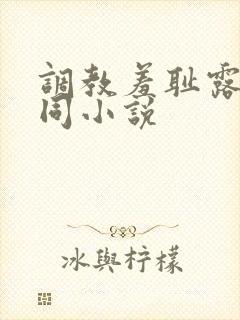 调教羞耻露出男同小说