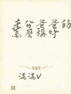 老公爸爸的姐姐怎么称呼