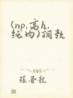 (np,高h,纯肉)调教