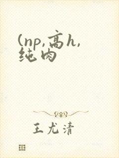 (np,高h,纯肉