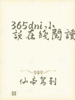 365dni小说在线阅读