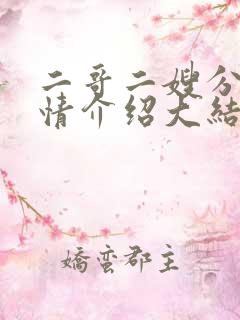 二哥二嫂分集剧情介绍大结局