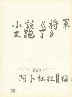 小说《将军夫人又跑了》