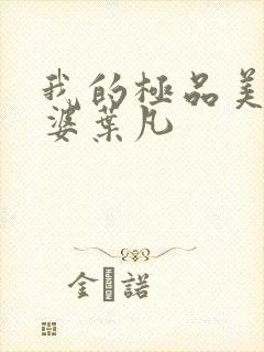 我的极品美女老婆叶凡