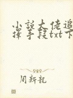小说大佬追妻不择手段txt下载