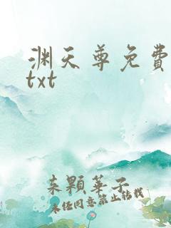 渊天尊免费下载txt
