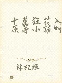 十万狂花入梦来原著小说叫什么