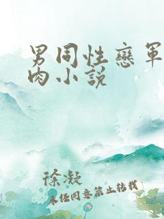 男同性恋军人纯肉小说