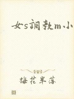 女s调教m小说