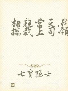 相亲当天,我和总裁上司领证了