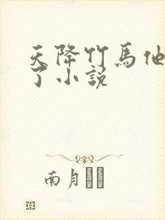 天降竹马他最撩了小说