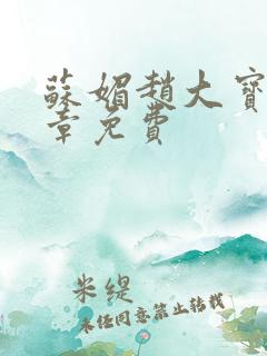 苏媚赵大宝第六章免费