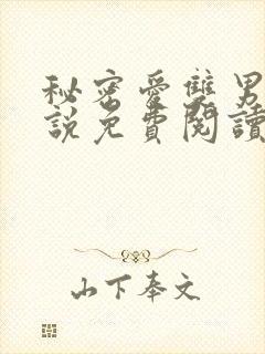 秘密爱双男主小说免费阅读