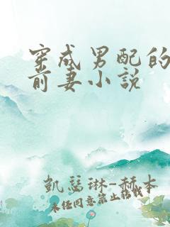 穿成男配的炮灰前妻小说
