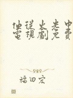 他从火光中走来电视剧免费播放全集