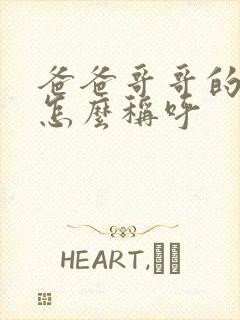 爸爸哥哥的儿子怎么称呼