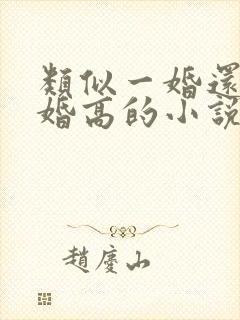 类似一婚还比一婚高的小说推荐