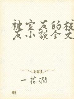 被室友的校草男友小说全文免费阅读结局