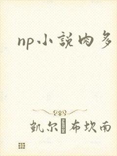 np小说肉多
