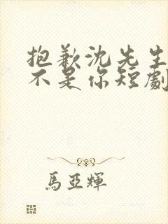 抱歉沈先生孩子不是你短剧