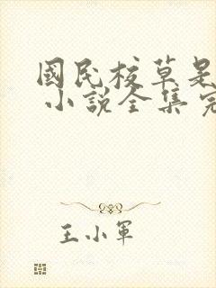 国民校草是女生 小说全集完整版txt