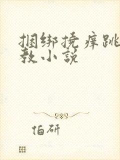 捆绑挠痒跳蛋调教小说