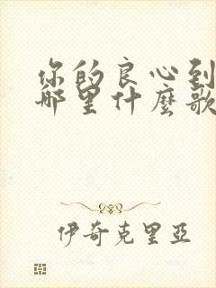 你的良心到底在哪里什么歌