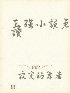 王强小说免费阅读