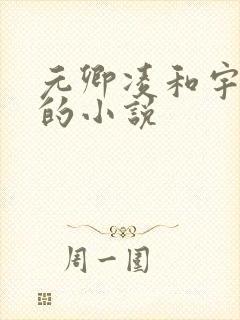 元卿凌和宇文皓的小说