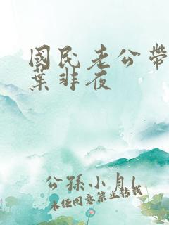国民老公带回家叶非夜