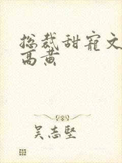 总裁甜宠文肉多高黄