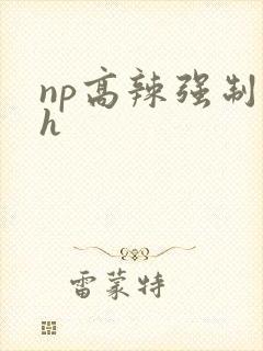 np高辣强制做h