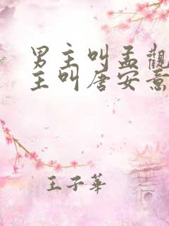 男主叫孟观鹤女主叫唐安意的小说