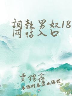 调教男奴18禁网站入口