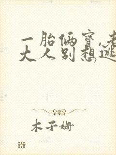 一胎俩宝,老婆大人别想逃小说