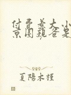 付费惹大小姐她京圈亲爸是女儿奴