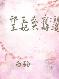 邪王盛宠:神医王妃不好追
