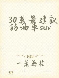30万最建议买的油车suv