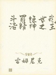 斗罗绝世我霍雨浩精神之主小说