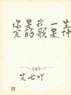 你是我一生唱不完的歌是什么歌名