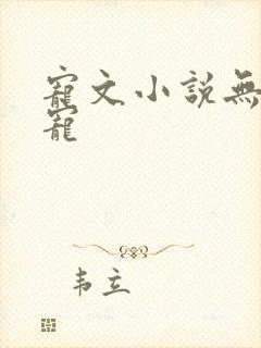 宠文小说无虐全宠