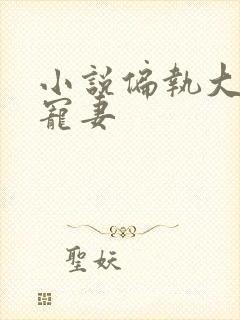 小说偏执大佬的宠妻