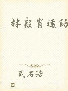 林毅肖远的小说