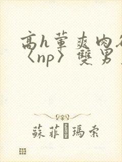 高h荤爽肉欲文〈np〉双男主