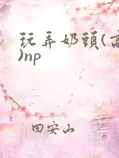 玩弄奶头(高h)np