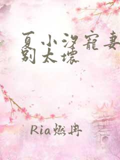 夏小汐宠妻狂魔别太坏