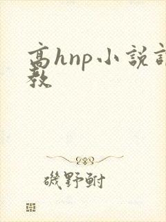 高hnp小说调教
